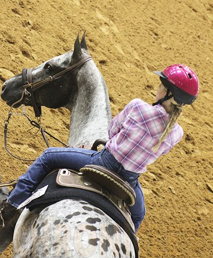 ApHC Changes Horse Show Structure to Strengthen Regional Club/Affiliate Partnership