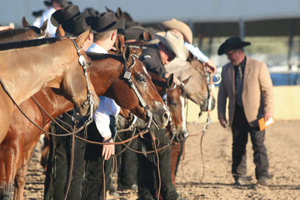 AQHA Incentive Fund Checks in the Mail- $15.65 Per Point