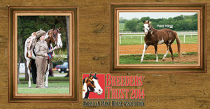 Photo courtesy of APHA.