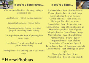 Check out this list to see if you or your horse has any #HorsePhobias.