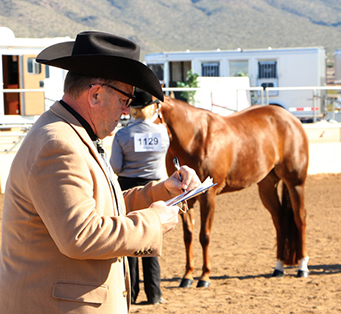 Judges Named For 2017 AQHA L1 Championships