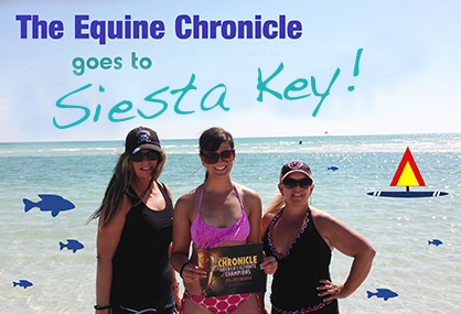 EC Photo of the Day: The Equine Chronicle Goes to Siesta Key!