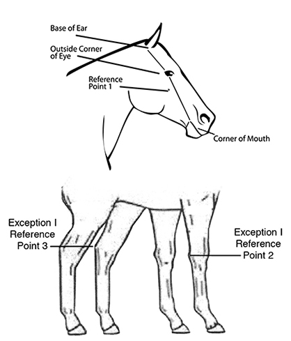 Rule Change Makes Registering Cropouts With APHA Easy