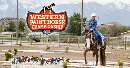 First-Ever Western Paint Horse Championship Comes to Utah