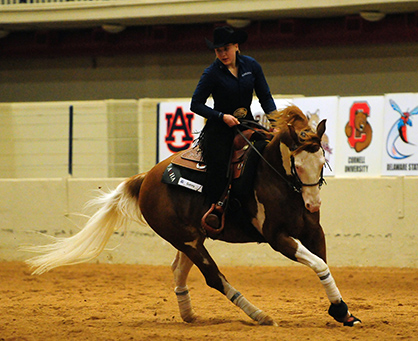 Auburn’s Dusha Named 2015 NCEA Elite Equestrian