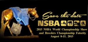 Graphic courtesy of NSBA.