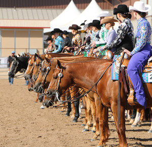 Photo courtesy of Arizona Quarter Horse Association.