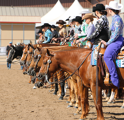 Judges Announced For 2020 AZ Fall Championship