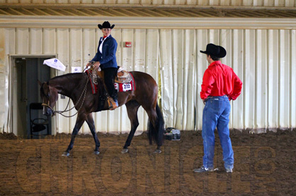A Week’s Worth of Quick Tips For Growing Your Horse Business