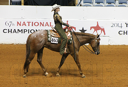 ApHC Reduces Late Fees For World Show