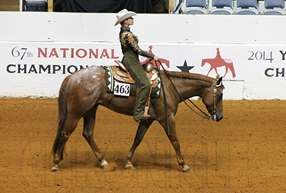 ApHC World Show Continues Tradition of Giving Back With Tonight’s Toys For Tots/Freestyle Reining/American Cancer Society Benefit Calcutta