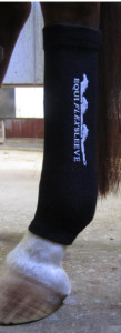Image courtesy of Equisleeve.