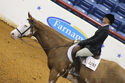 Attention High School Seniors! New $1,000 Scholarship For Riders Who Plan to Continue Equestrian Career During College