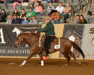 $10,000 added Spooks Gotta Whiz winner Photo courtesy of Waltenberry.