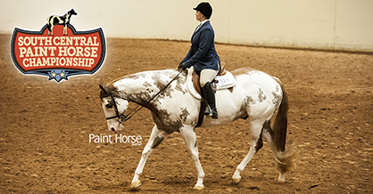 South Central Paint Horse Championship Debuts in Texas