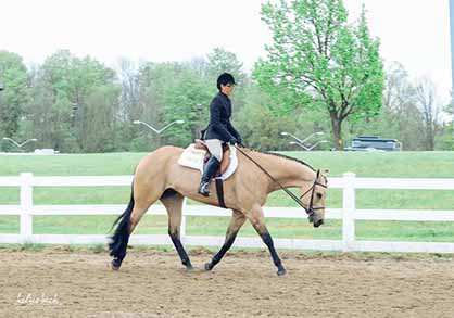 Around the Rings at 2015 Area 3 Spring Classic