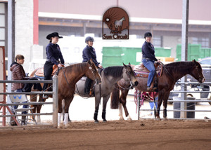 World Para Reining classes at the 2015 AZ Sun Circuit.