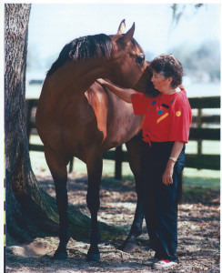 Carol & Lark in paddock 3