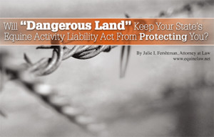 Dangerous Lands_feature