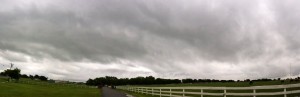 A horse farm near Denton