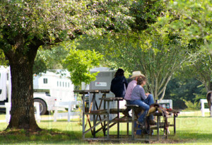 What a beautiful place for a horse show!