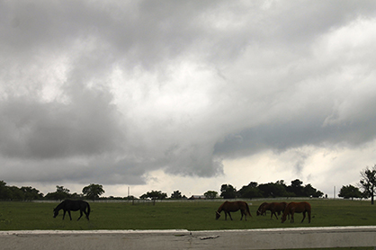 Farms/Ranches in Texas Damaged by Flooding/Tornados Can Apply For Relief Funds