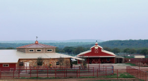 TNR_Both_barn