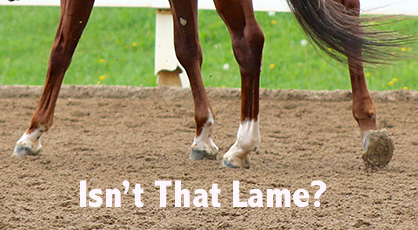 New Video- Recognizing Subtle Lameness- Improve Your Eye for the Pain Your Horse Tries to Hide