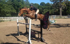 Tina and Longo during yesterday's bareback jumping lesson. 