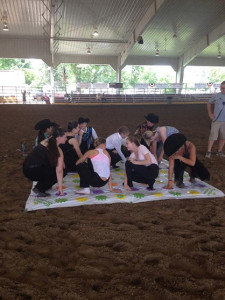 Horse show Twister!