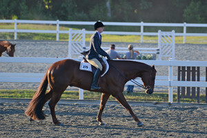 Brittany Spears competing in Hunter Under Saddle at the 2015 Little River Circuit.