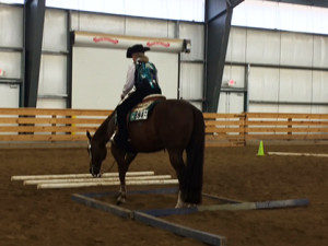 Final Trail class for New Lark In Town with Martha Fabry. 