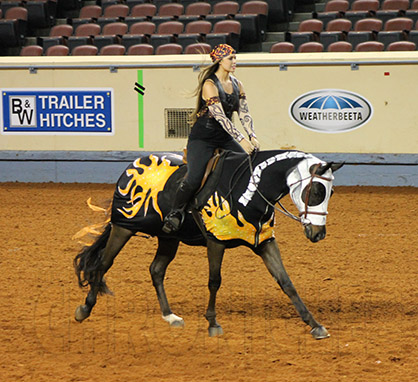 New Fun Activities Added to AQHA Youth World Show