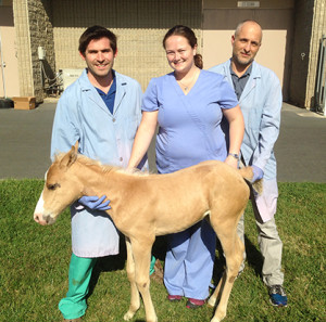 Bossy's Cookies with some of the vets who helped save her life. Photo courtesy of UC Davis.