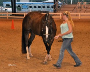 Ashton Eash - Hands Free Showmanship