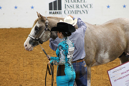 2015 AjPHA World Show High Point Winners: Miller, John, Gralla, Ward, and Eller