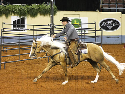 Presenting the WCHA Ranch Horse Challenge! Sponsored by The Equine Chronicle