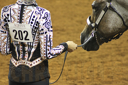AQHA Youth World Competitors Required to Wear Show Numbers at All Times When Schooling