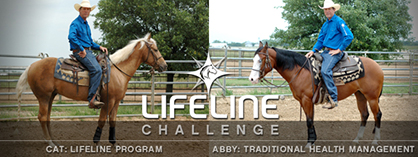 Unique LIFELINE Supplements Challenge Compares Two Horses Through Training Process