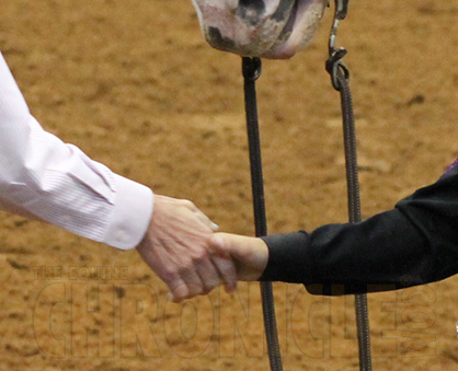 One Horse Trainer’s Act of Kindness- 2015 AjPHA Youth World