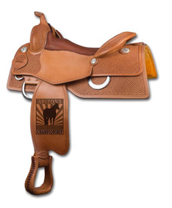 level2trail saddle award