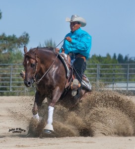 Reeboks Rerun- High Point Open + NRHA, High Point Int. Open + NRHA, Champion Int. Horse, Res. Champ Open, Rider: Martin Padilla Owner: Anne McLeod