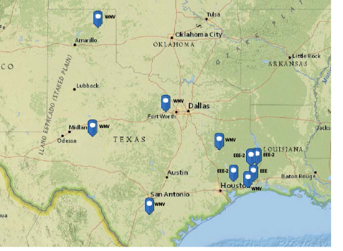 7 Cases of West Nile Virus, 7 Cases of EEE Confirmed in Texas Horses
