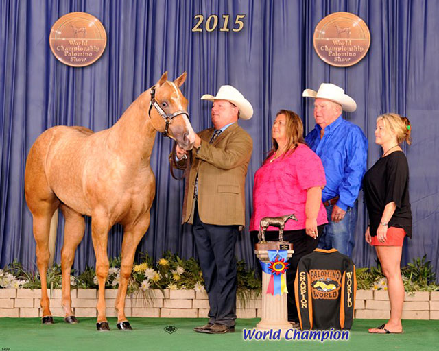Western Pleasure, Performance, and Halter Horses Will Sell in Pro Horse Services August Online Auction