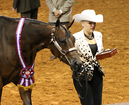 Yearling Mares, 2-Year-Old Mares, 3-Year-Old Gelding AQHYA Wins Go to Hamm and Smith