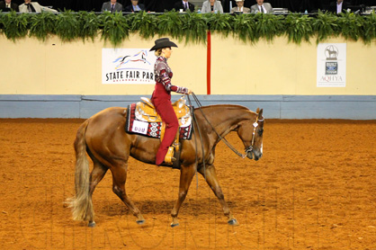 Day 2 Photos- 2015 AQHYA World Show