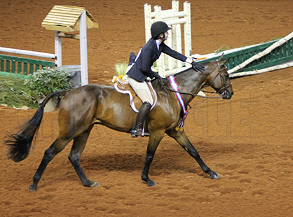 Graf and Eichstadt Win Over Fence Classes at 2015 AQHYA World