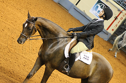 Congratulations 2015 AQHYA Equitation Finalists!