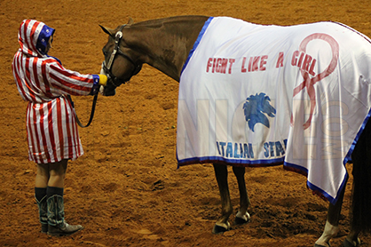 Fantastic Freestyle Fun at 2015 AQHA Youth World!