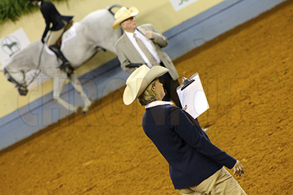 AQHA Steward Program Being Dissolved to Make Way For New Stronger Program